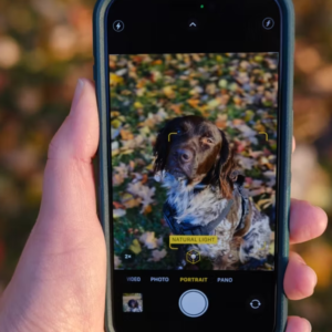 How to turn regular photos into Portrait mode photos on an iPhone